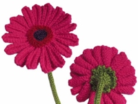 ODDknit Knitted Gerberas